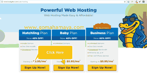 Hostgator Web-hosting
