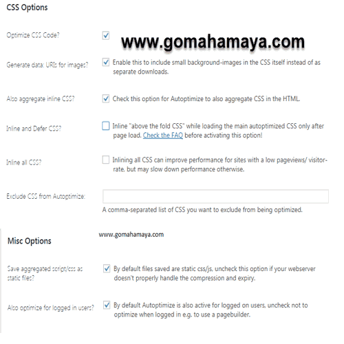 Autoptimize plugin css setting