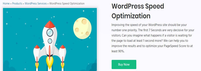 WordPress Speed Optimization