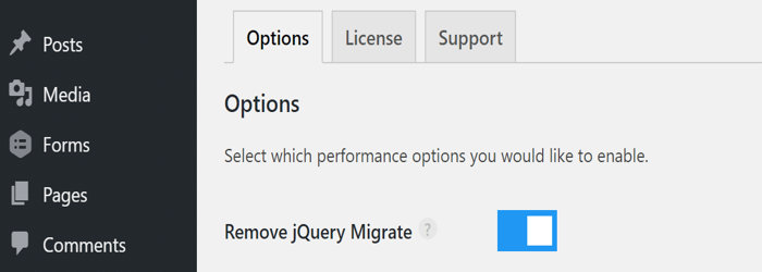 remove jquery migrate perfmatters