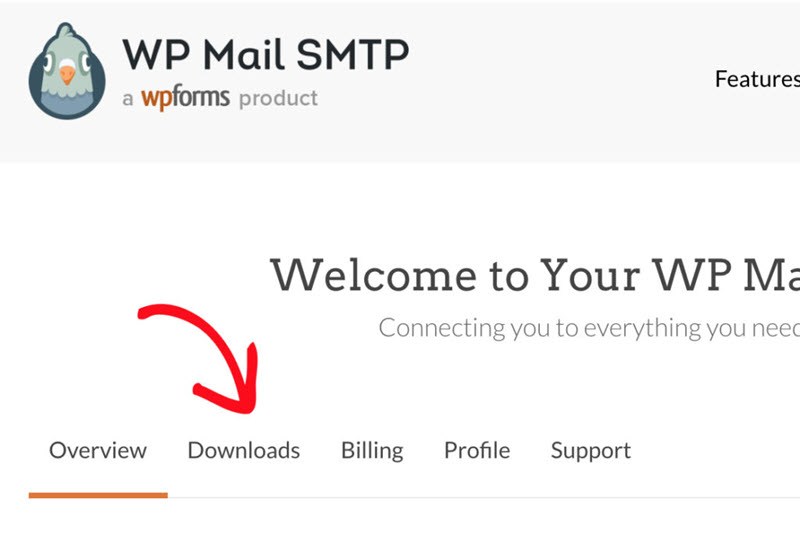 WP Mail SMTP Downloads